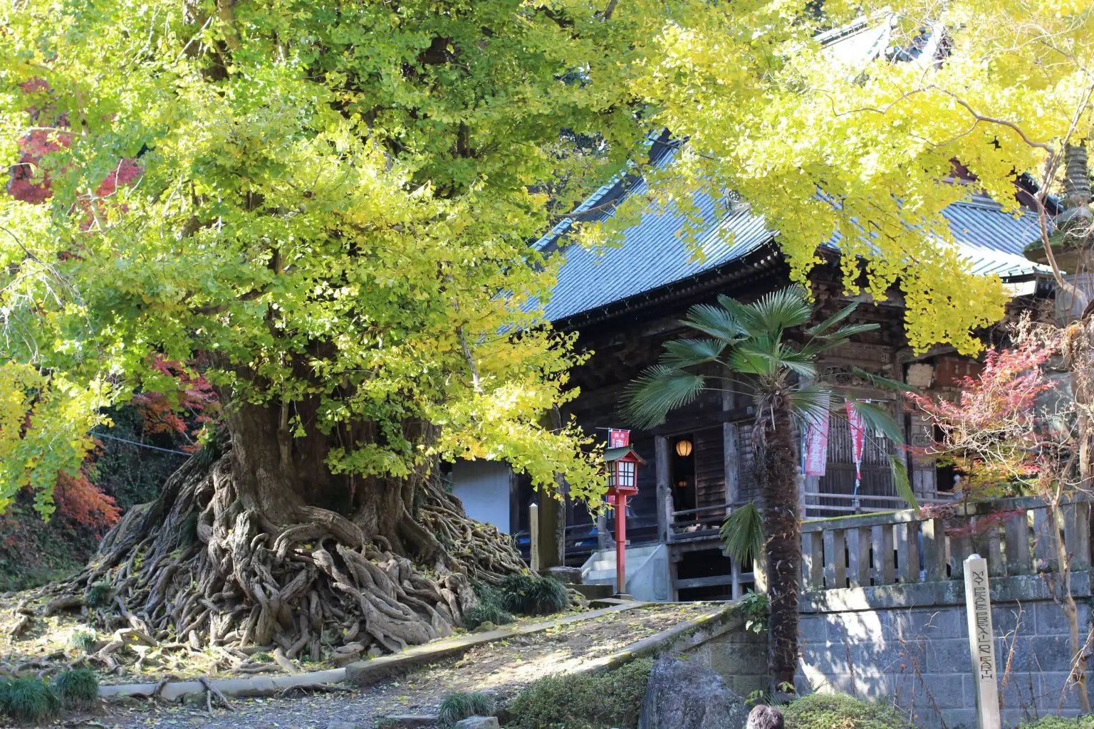 🏯 이와도노산 쇼보지(간덴잔 쇼호지)